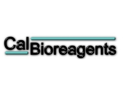 CalBioreagents代理，CalBioreagents蘇州代理，